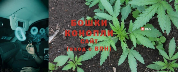амф Белокуриха