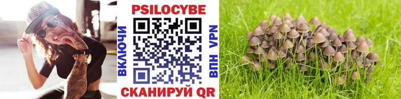 закладки  Горячий Ключ  нарко площадка как зайти  Псилоцибиновые грибы мицелий 